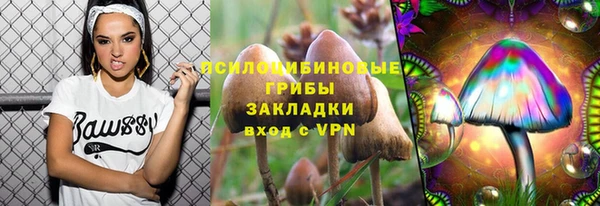 молекула духа Балабаново