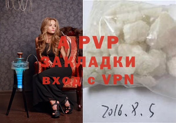 PSILOCYBIN Баксан