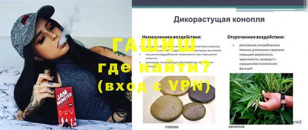 молекула духа Балабаново