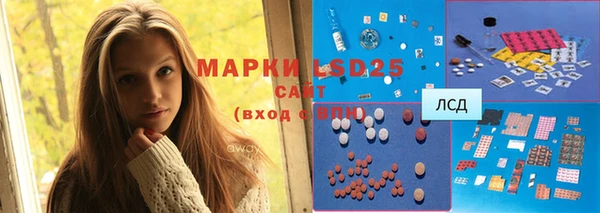 PSILOCYBIN Баксан