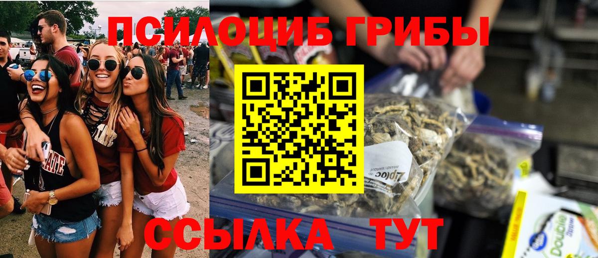 Галлюциногенные грибы GOLDEN TEACHER Городец