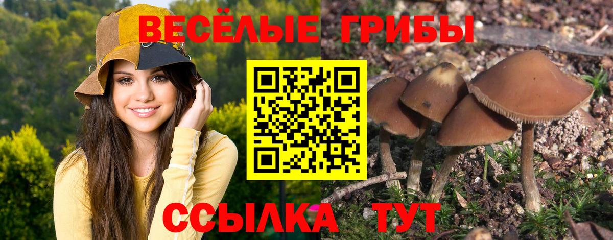 Галлюциногенные грибы мухоморы  Городец 