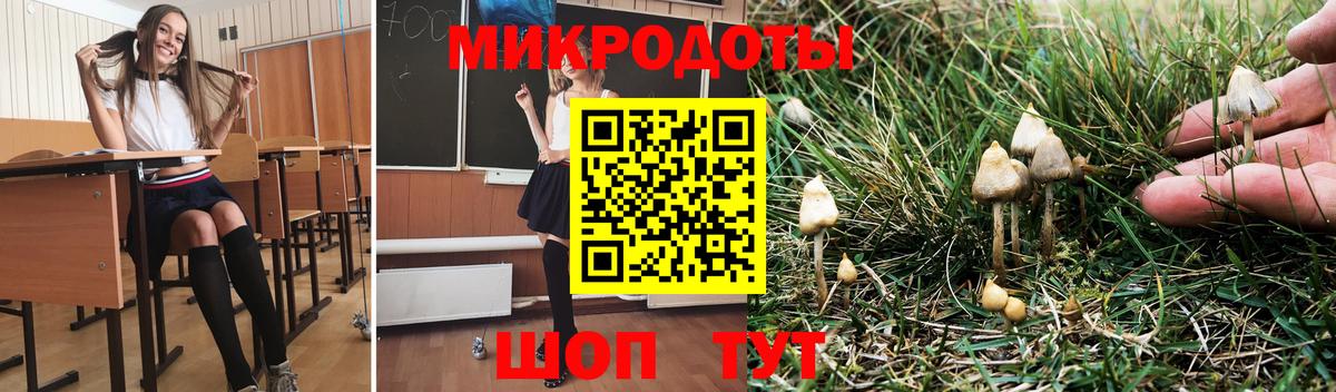 Галлюциногенные грибы Psilocybine cubensis Городец