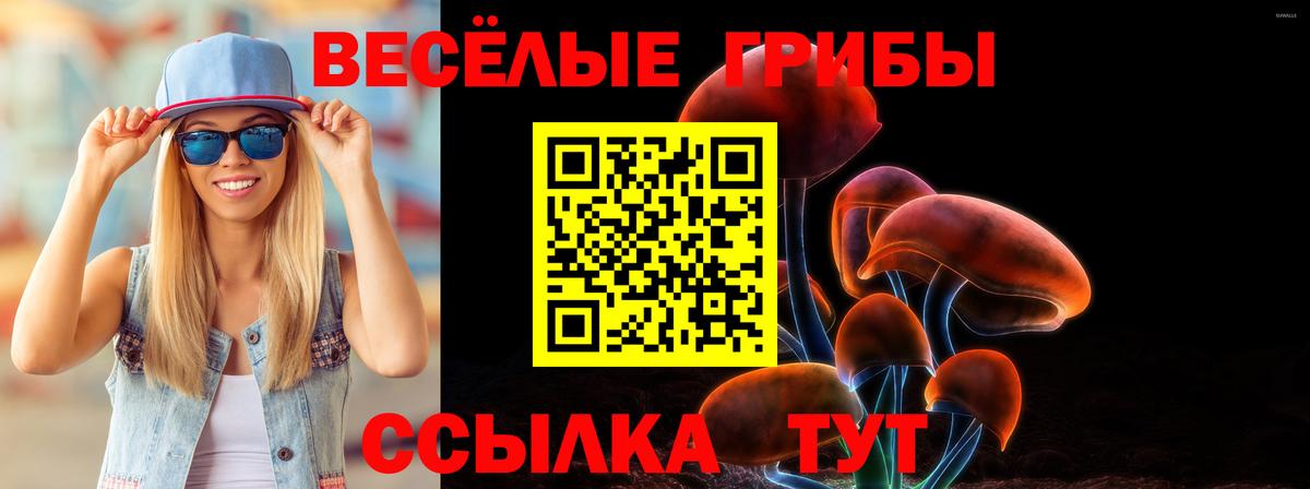 Галлюциногенные грибы Psilocybe  Галлюциногенные грибы Psilocybine cubensis  Городец  Вход с VPN 