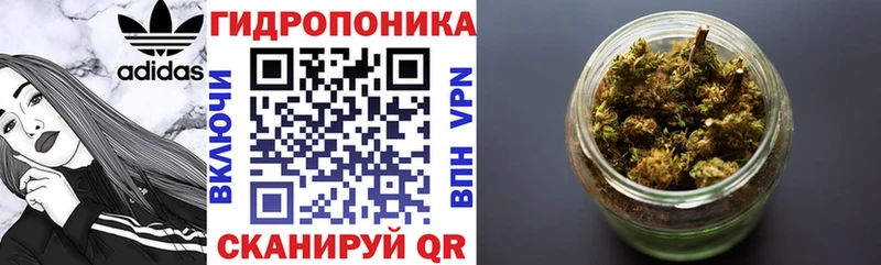 Марихуана THC 21%  hydra зеркало  Городец 